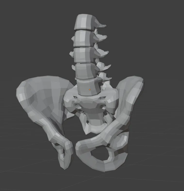 Sacrum, Os Coxa, Lumber Vertebra