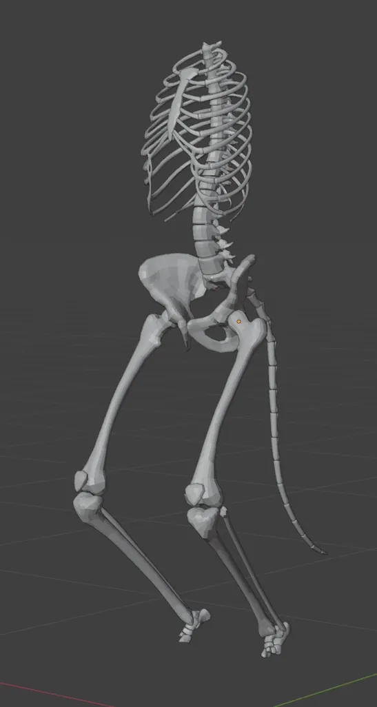 Front view of Harmony:|| body bone